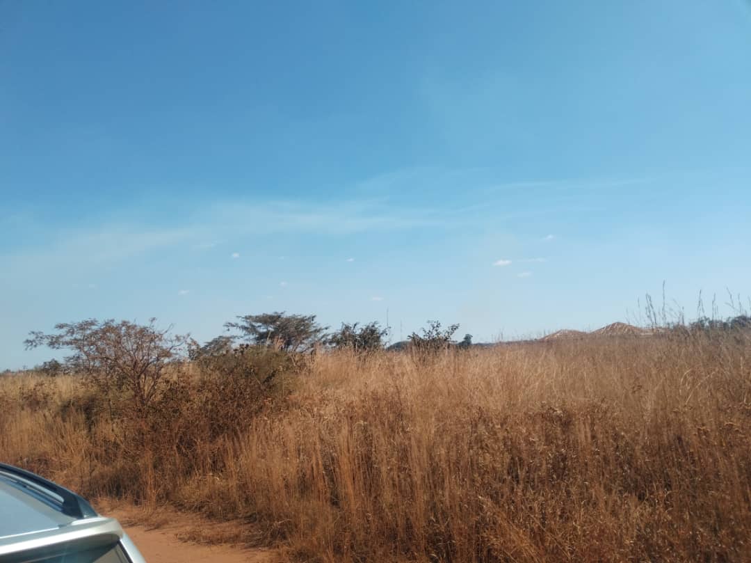 Commercial Complex - Main